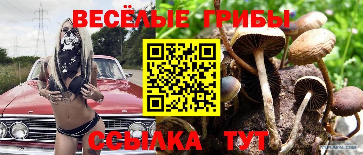 Галлюциногенные грибы MAGIC MUSHROOMS Верхняя Салда