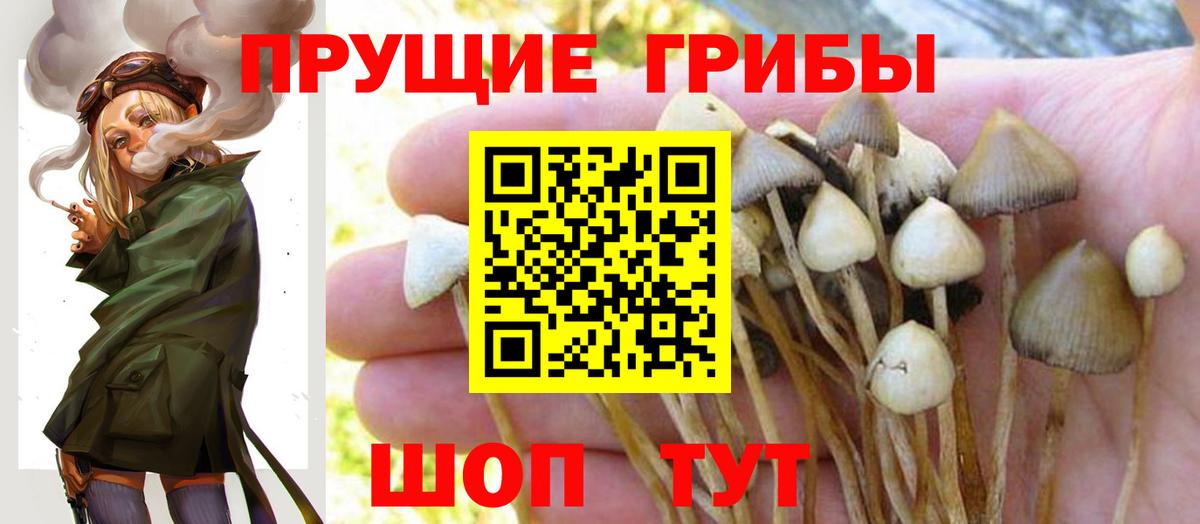 Верхняя Салда  хочу   Галлюциногенные грибы GOLDEN TEACHER  Вход с VPN  Галлюциногенные грибы GOLDEN TEACHER 